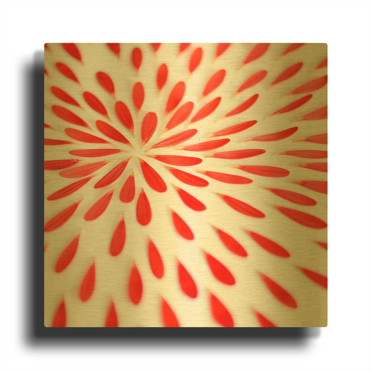 'Red Petals 02' By Tom Quartermaine Gold Metal Wall Art