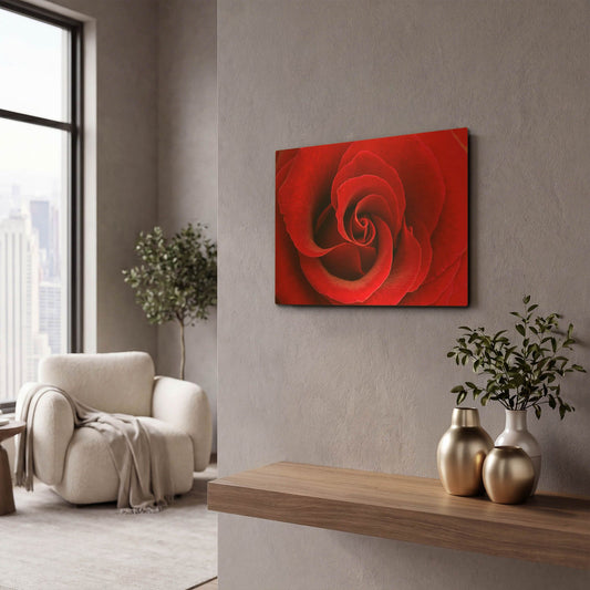 'Red Rose 03' By Tom Quartermaine Gold Metal Wall Art