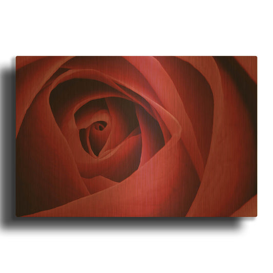 'Red Rose' By Tom Quartermaine Gold Metal Wall Art