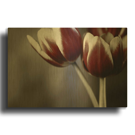 'Red Tulips On Grey 01' By Tom Quartermaine Gold Metal Wall Art