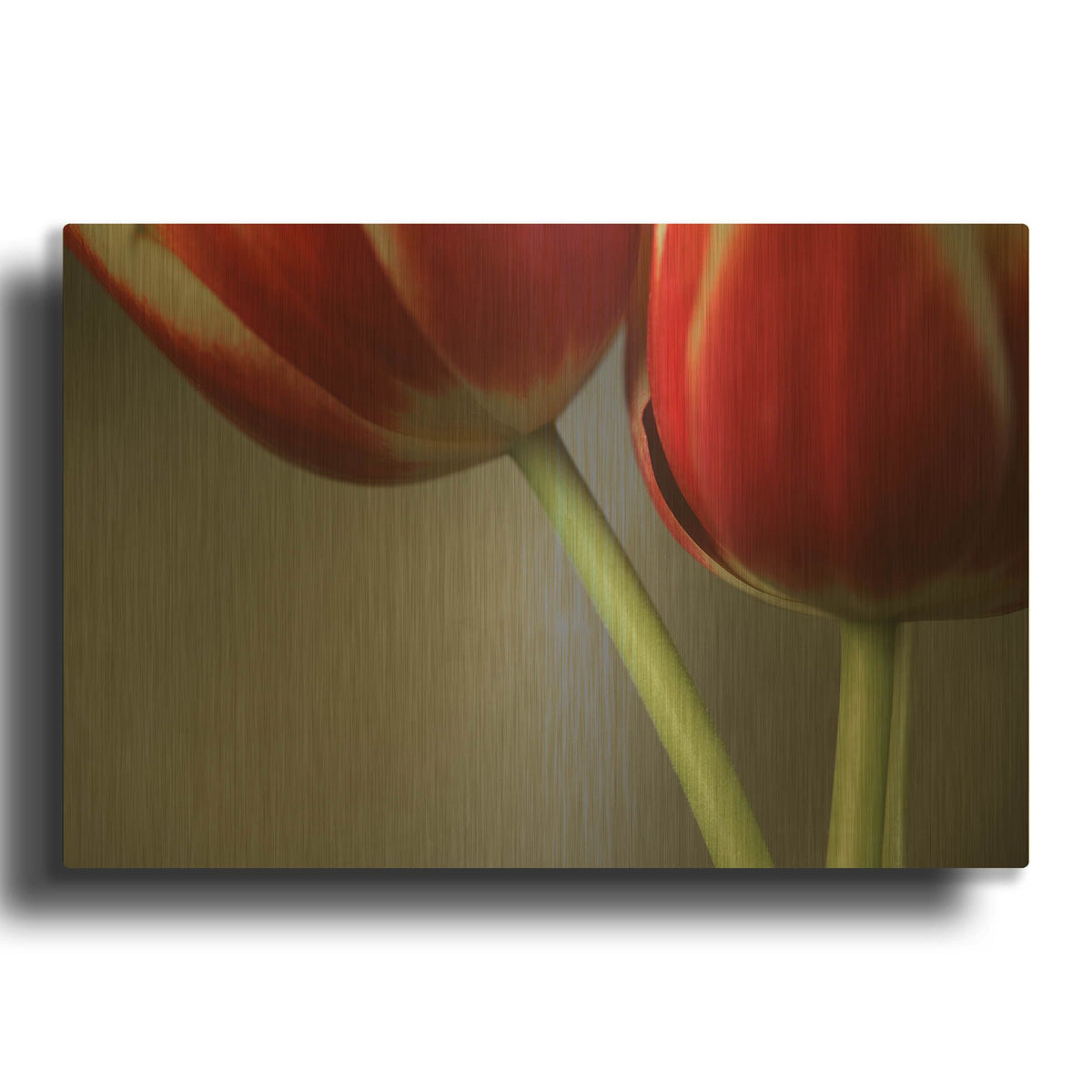 'Red Tulips On Grey 02' By Tom Quartermaine Gold Metal Wall Art
