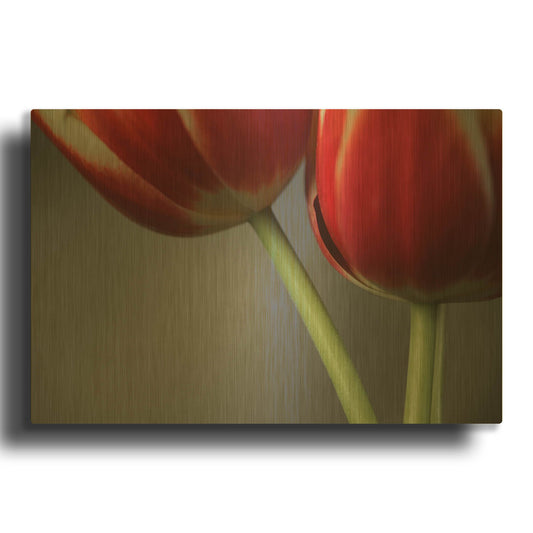 'Red Tulips On Grey 02' By Tom Quartermaine Gold Metal Wall Art
