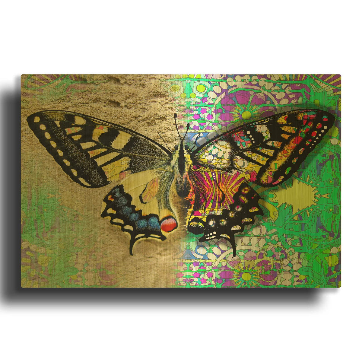'Exposed Butterfly' By Dean Russo Gold Metal Wall Art