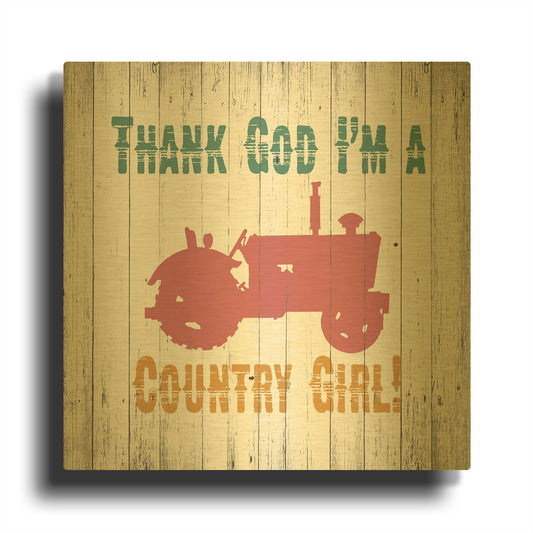 'Country Girl' By Alicia Soave Gold Metal Wall Art