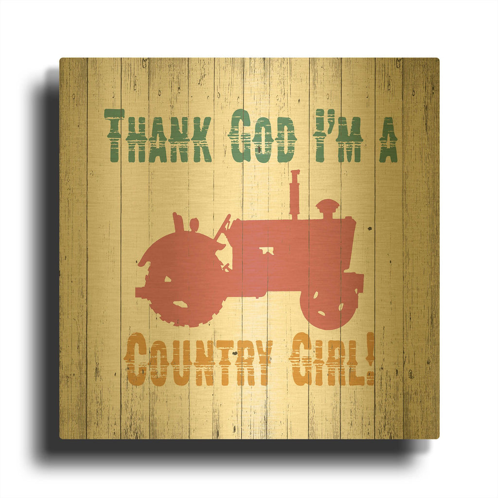 'Country Girl' By Alicia Soave Gold Metal Wall Art