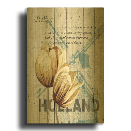 'Holland Tulips' By Alicia Soave Gold Metal Wall Art