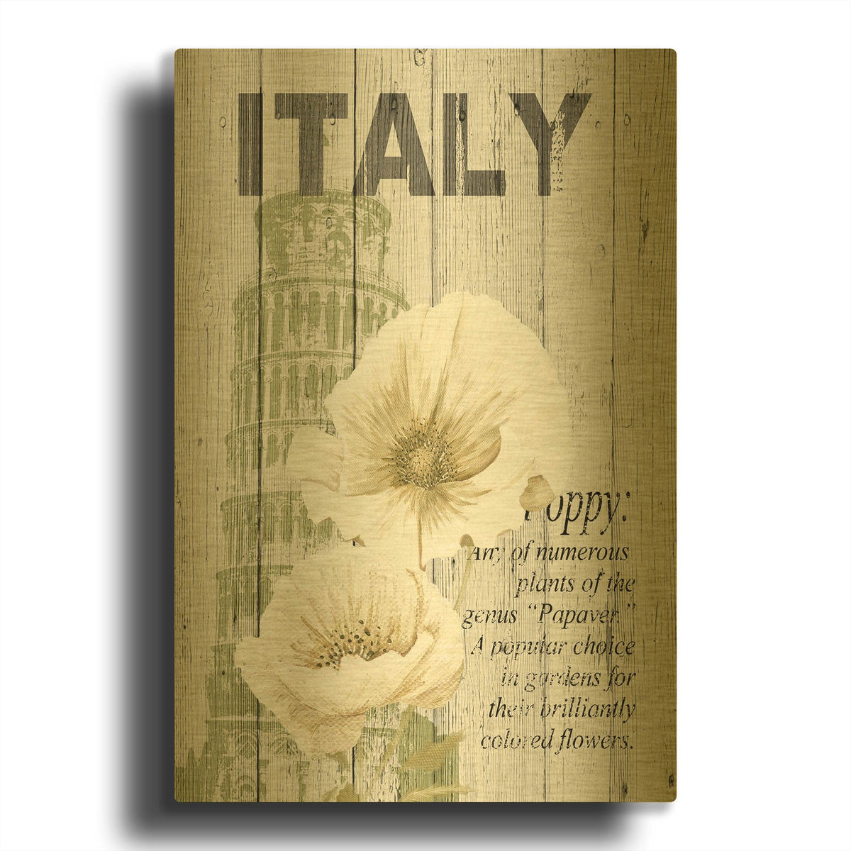 'Italy Poppies' By Alicia Soave Gold Metal Wall Art