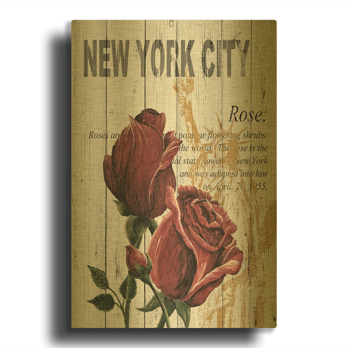 'New York Roses' By Alicia Soave Gold Metal Wall Art