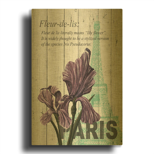 'Paris Iris' By Alicia Soave Gold Metal Wall Art
