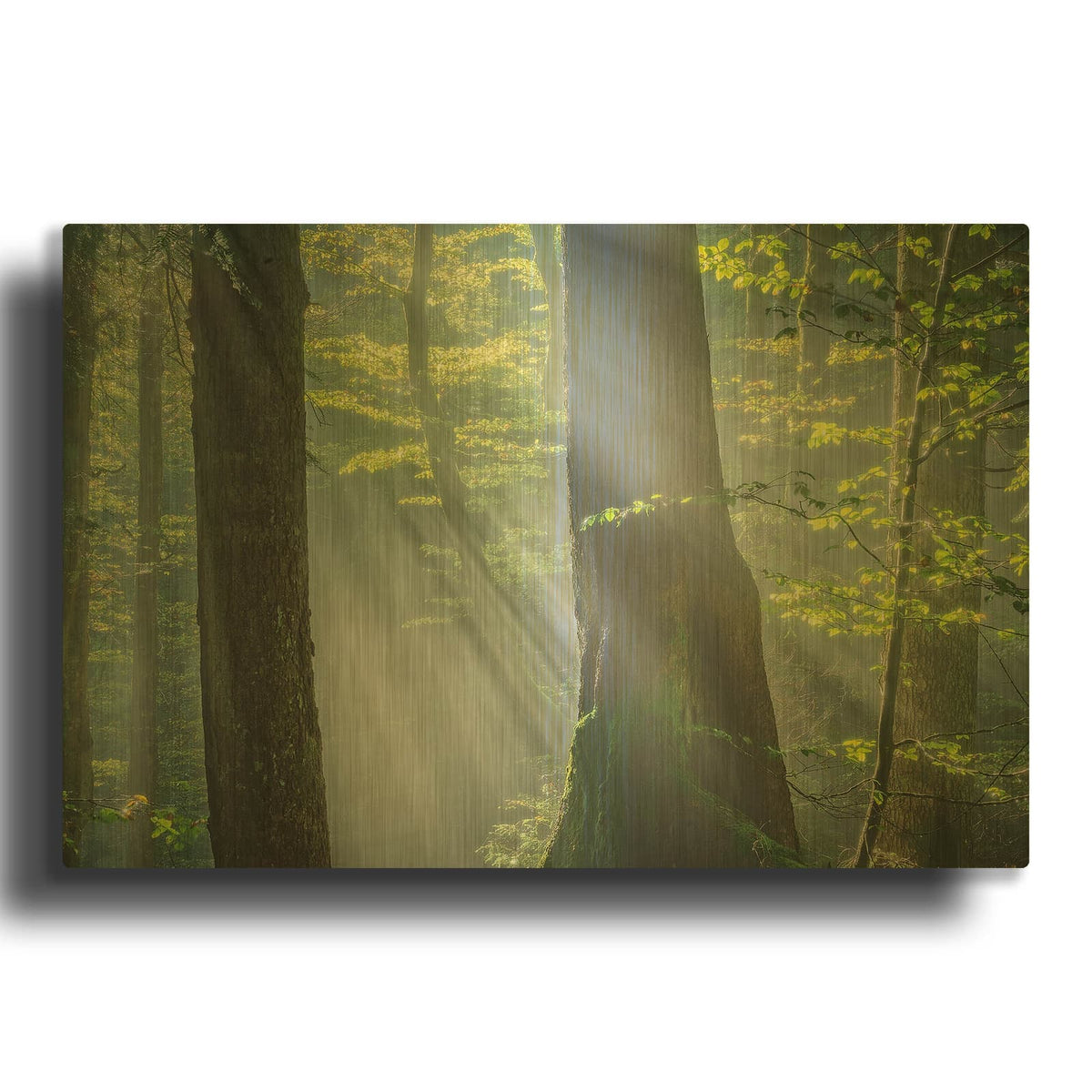 'Shower of Light' By Anne Schneidersmann Gold Metal Wall Art