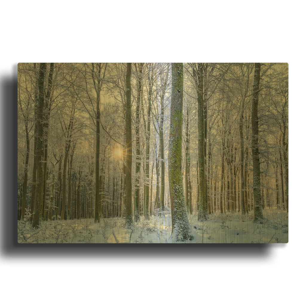 'Frosty Forest' By Anne Schneidersmann Gold Metal Wall Art