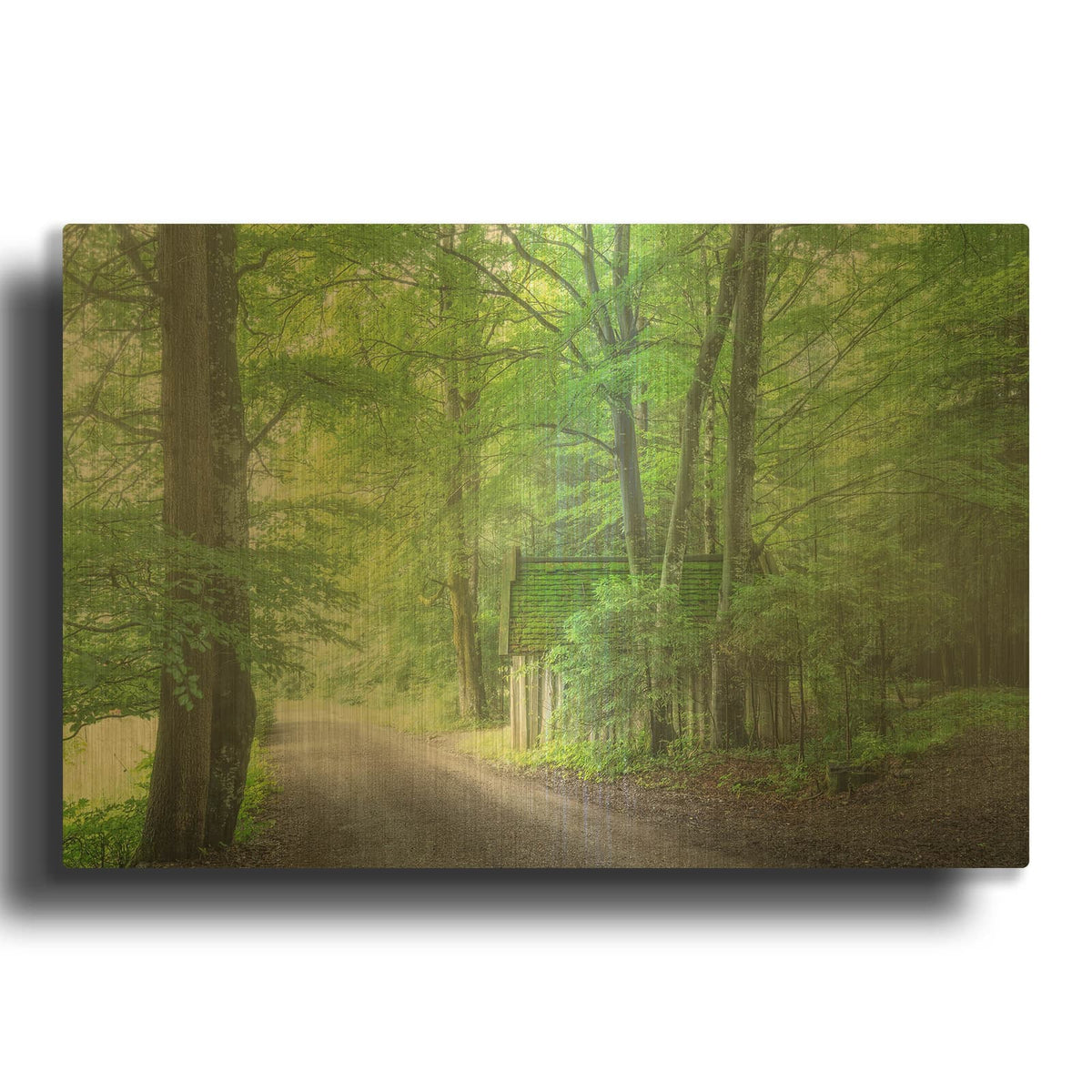 'Frenzy Green' By Anne Schneidersmann Gold Metal Wall Art