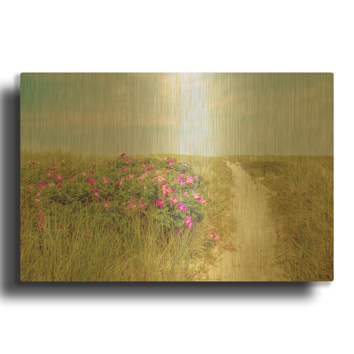 'Beach Roses' By Brooke T. Ryan Gold Metal Wall Art