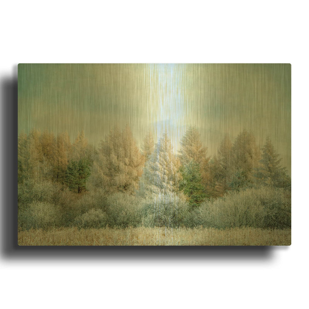 'Winter Wonderland' By Brooke T. Ryan Gold Metal Wall Art