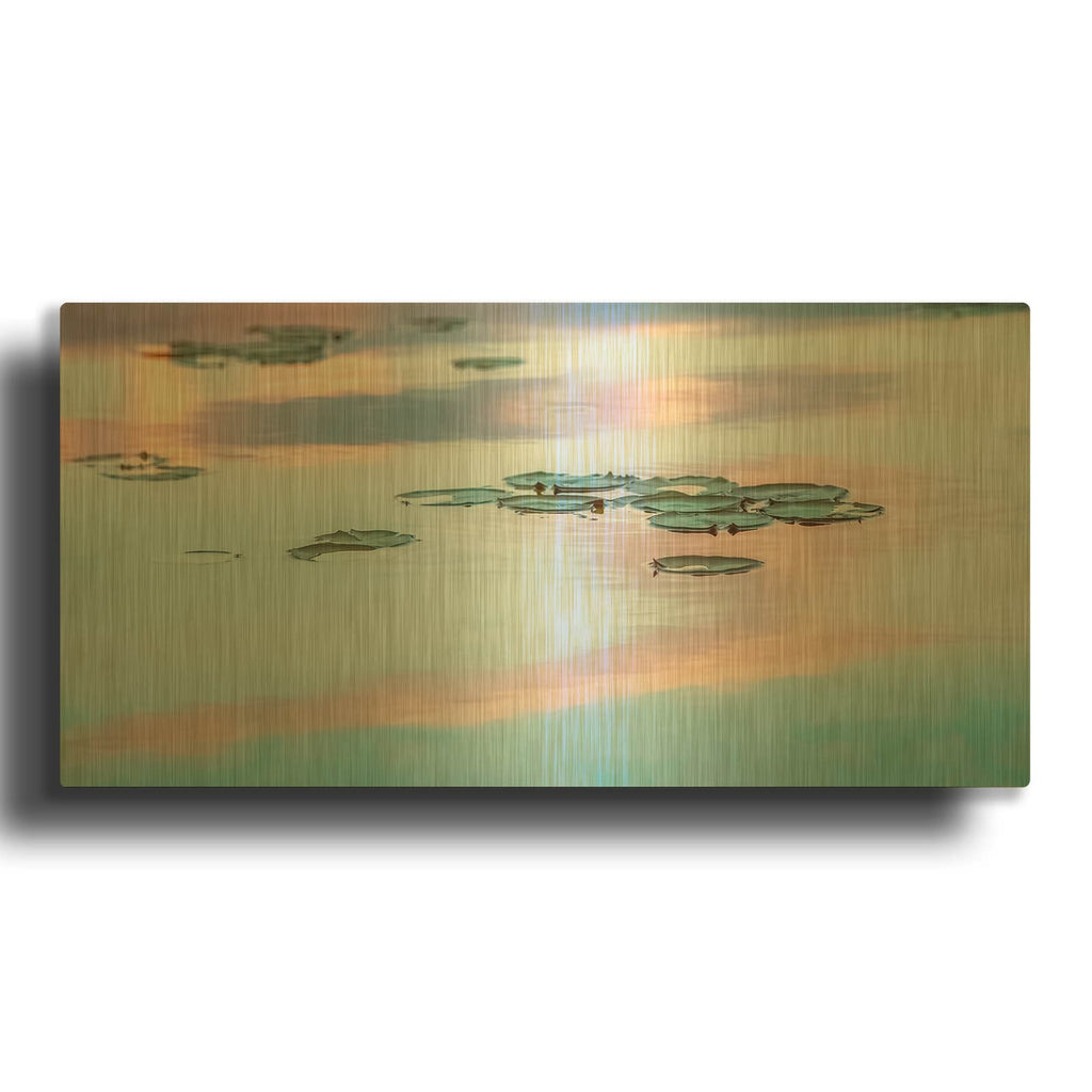 'Cloud Reflections' By Brooke T. Ryan Gold Metal Wall Art