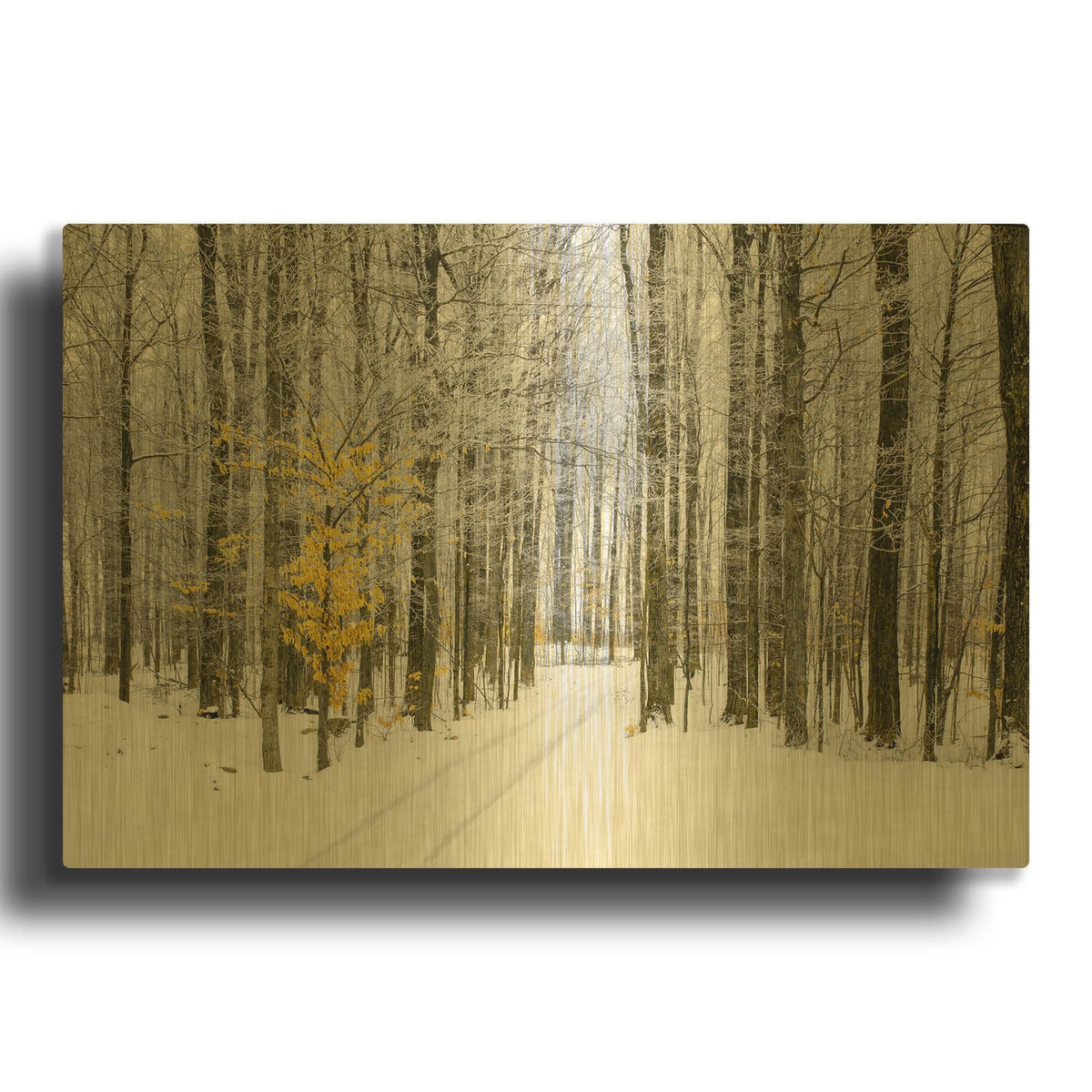 'Mustard Tree' By Brooke T. Ryan Gold Metal Wall Art