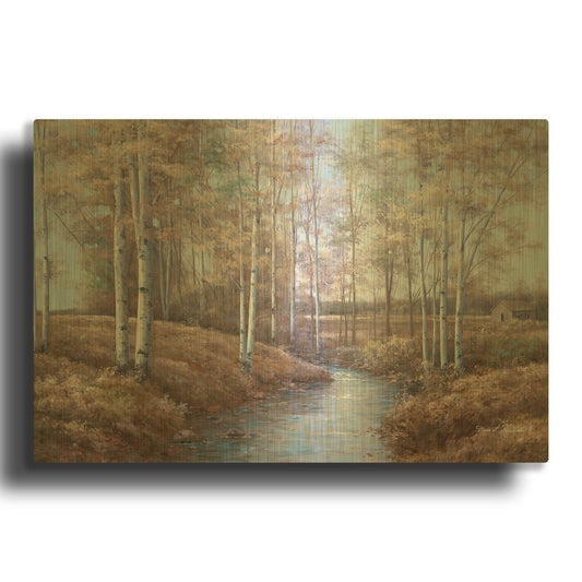 'R751D - Birch Creek' By Diane Romanello Gold Metal Wall Art