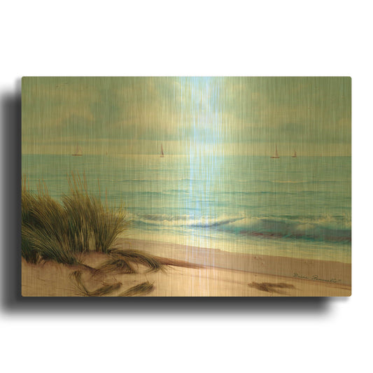 'R774D - Sandpiper Beach' By Diane Romanello Gold Metal Wall Art