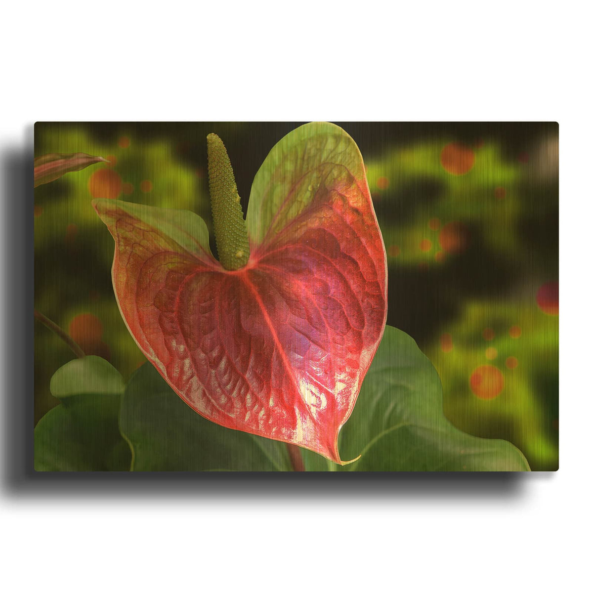 'Antherium' By Don Spears Gold Metal Wall Art
