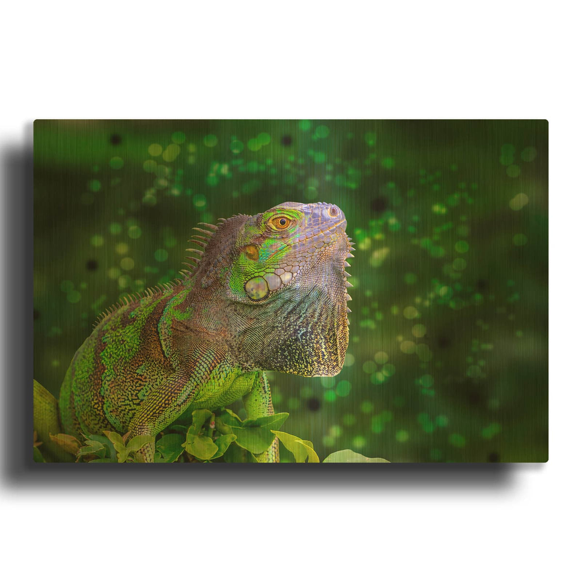 'Green Iguana' By Don Spears Gold Metal Wall Art