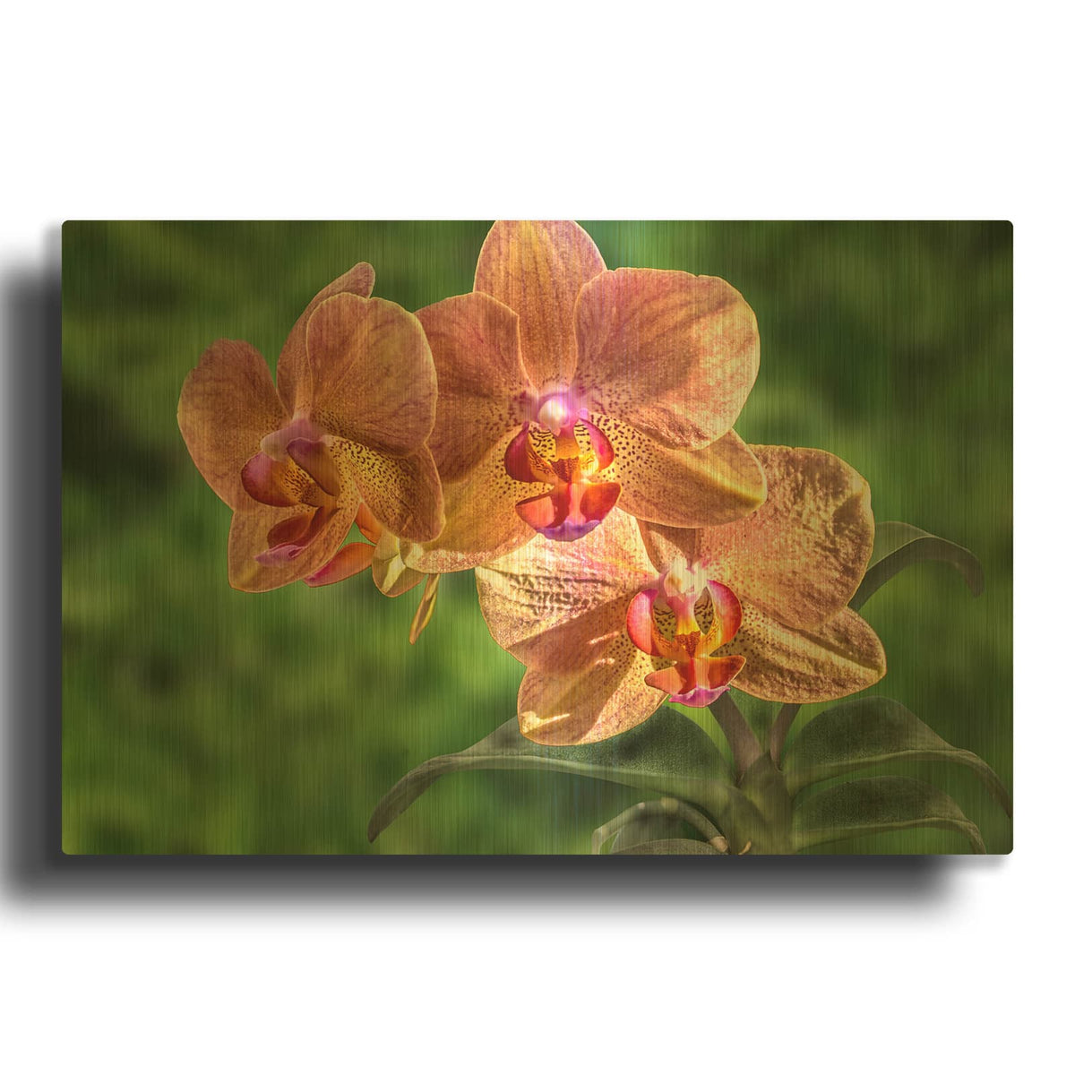 'Orange Orchid' By Don Spears Gold Metal Wall Art