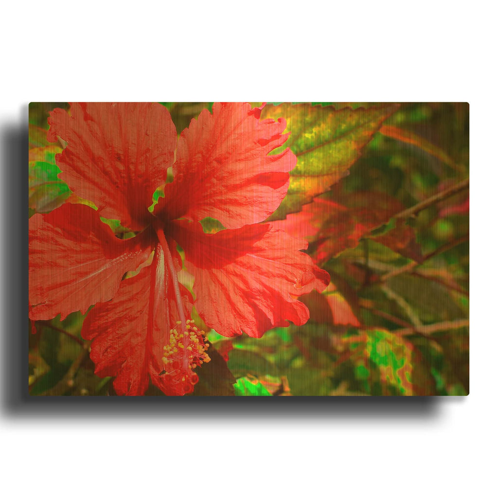 'Red Hibiscus' By Don Spears Gold Metal Wall Art