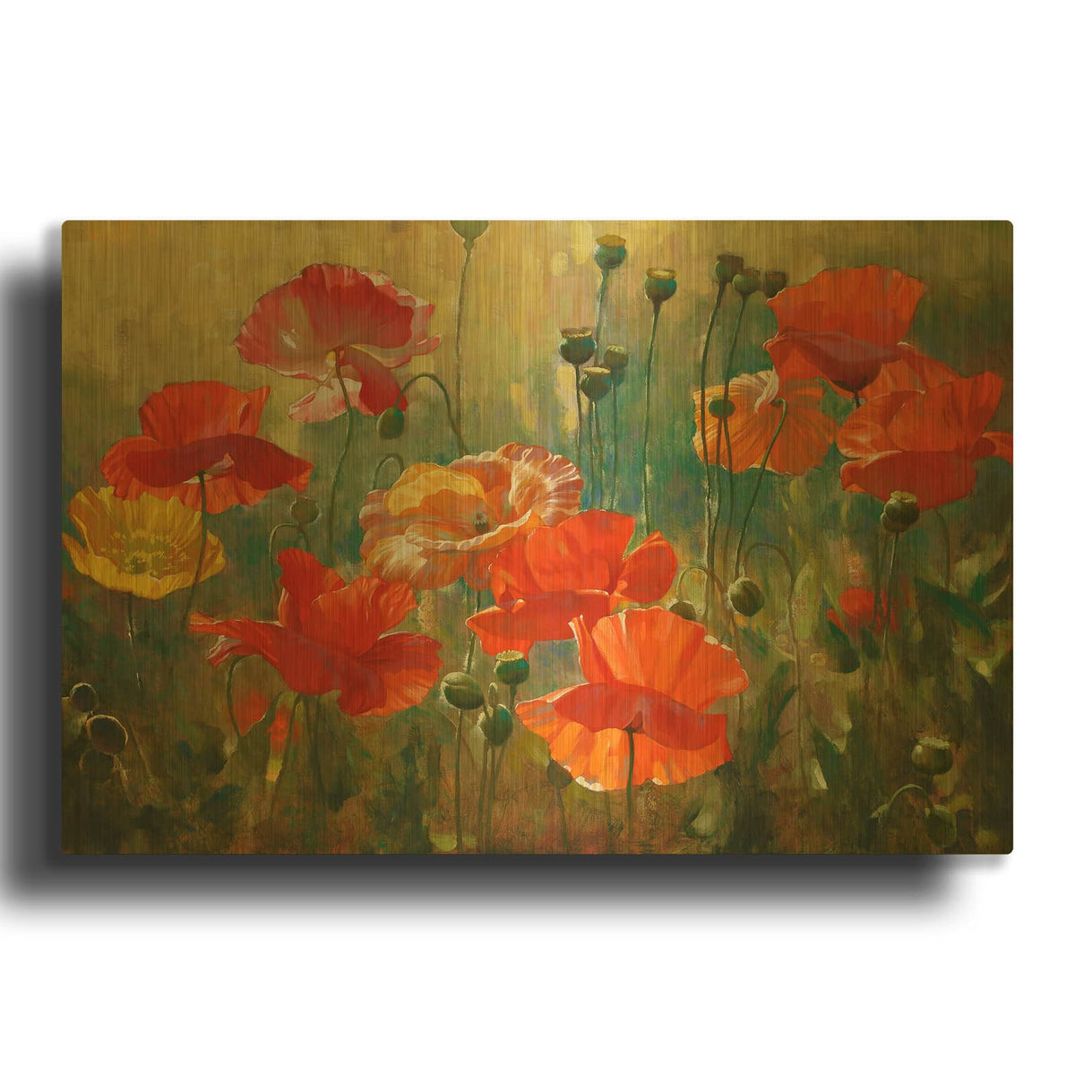 'Poppy Fields' By Emma Styles Gold Metal Wall Art
