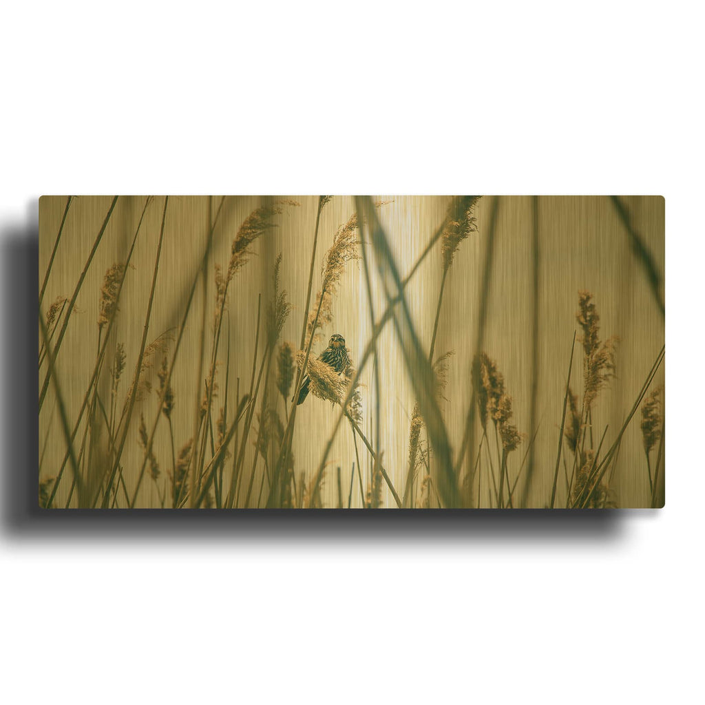 'Even The Skies Have Limits' By Eunika Rogers Gold Metal Wall Art