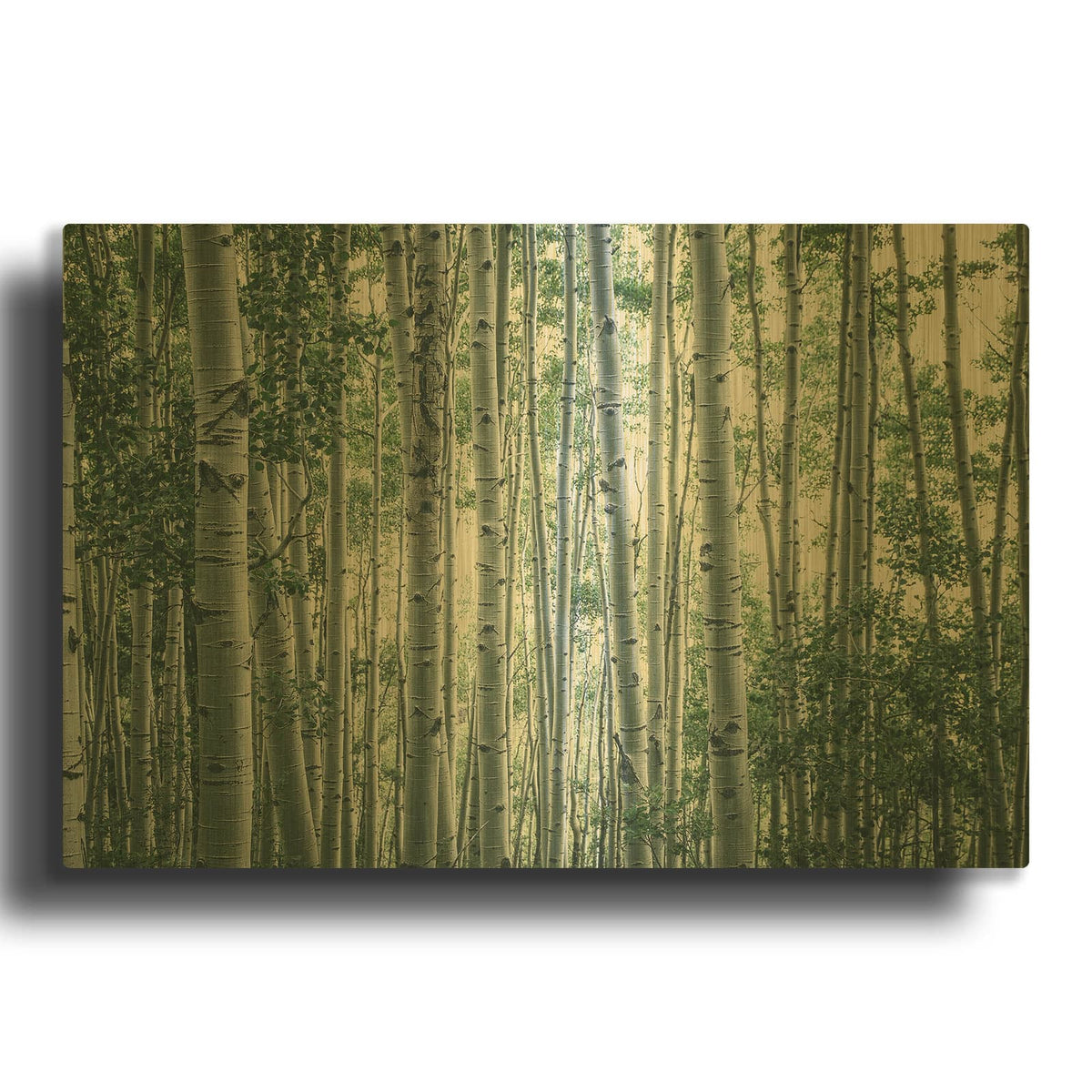 'Obscured by Alders' By Eunika Rogers Gold Metal Wall Art