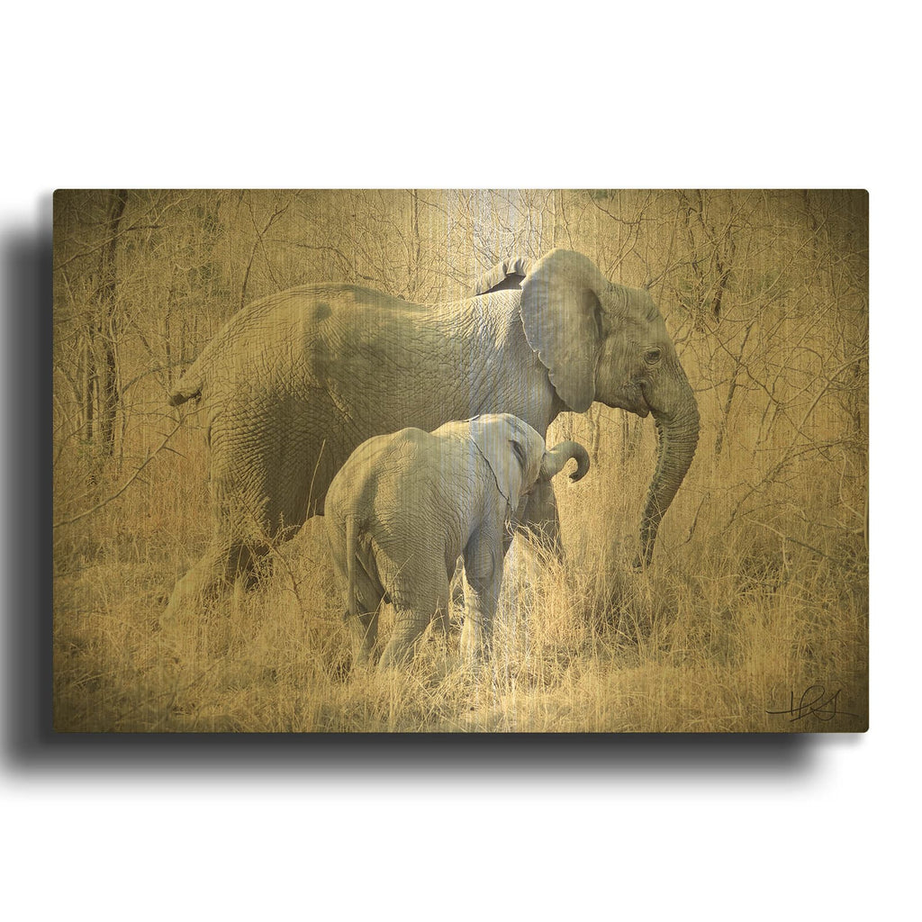 'Elephants' By Helene Sobol Gold Metal Wall Art