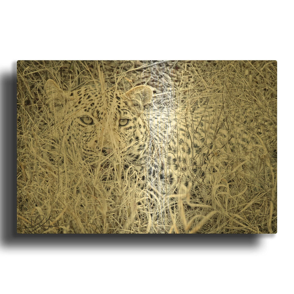 'Leopard' By Helene Sobol Gold Metal Wall Art