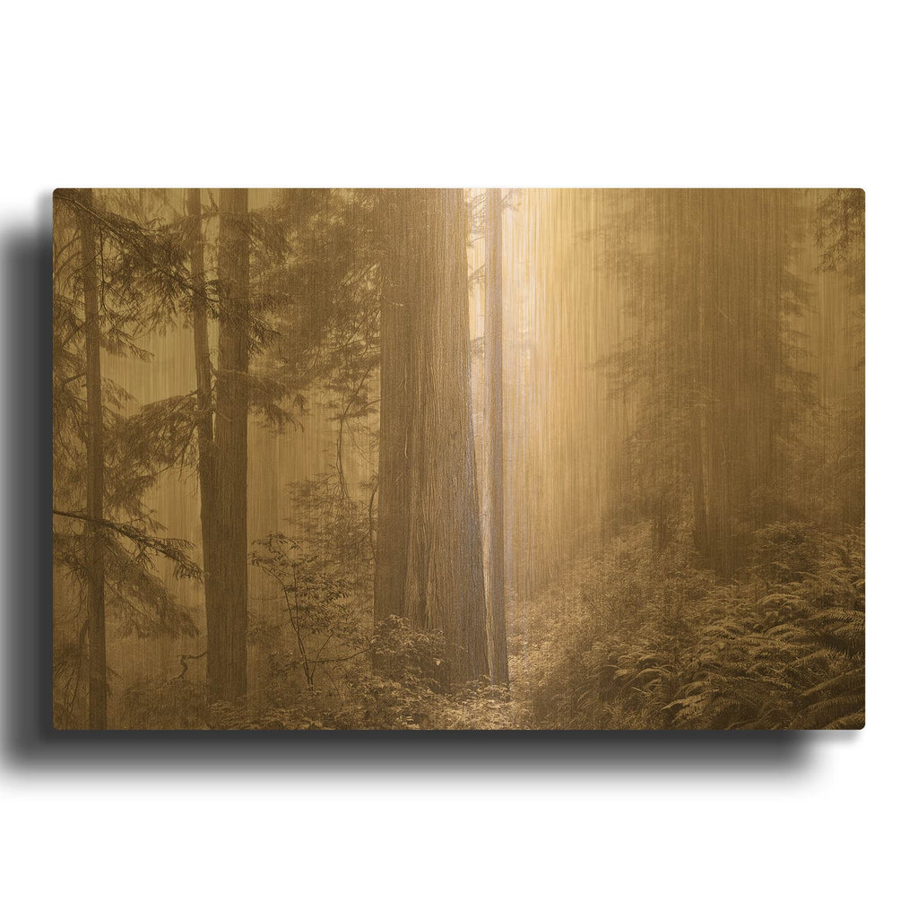 'Enchanted Forest II' By Igor Svibilsky Gold Metal Wall Art