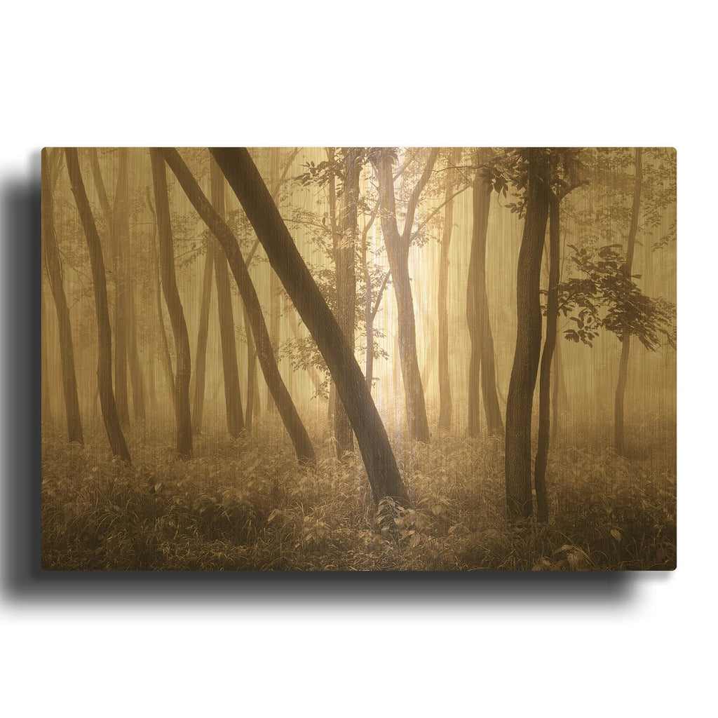 'Reticent Woods' By Igor Svibilsky Gold Metal Wall Art
