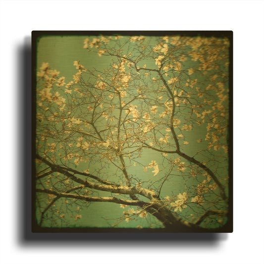 'S1112D - Reach' By Irene Suchocki Gold Metal Wall Art
