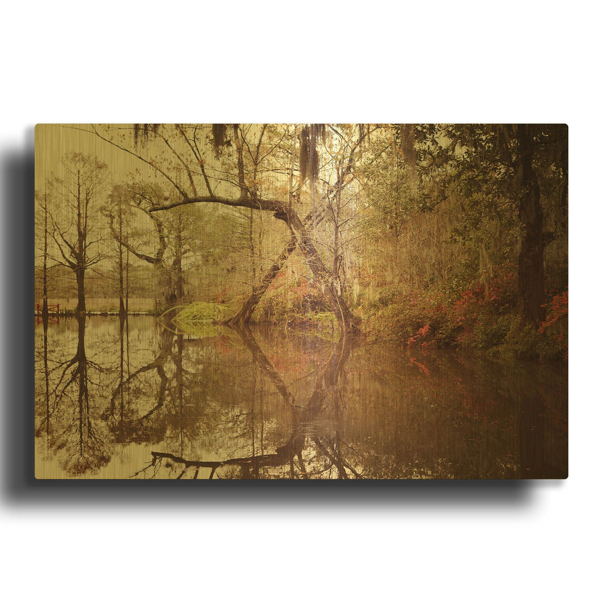 'S1124D - Deep South I' By Irene Suchocki Gold Metal Wall Art