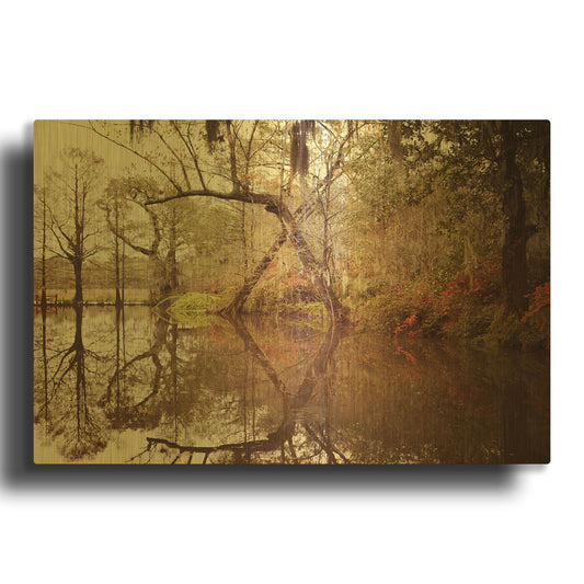 'S1124D - Deep South I' By Irene Suchocki Gold Metal Wall Art