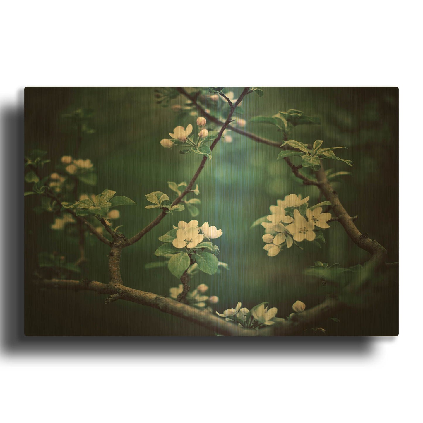 'S1126D - The Midnight Garden I' By Irene Suchocki Gold Metal Wall Art