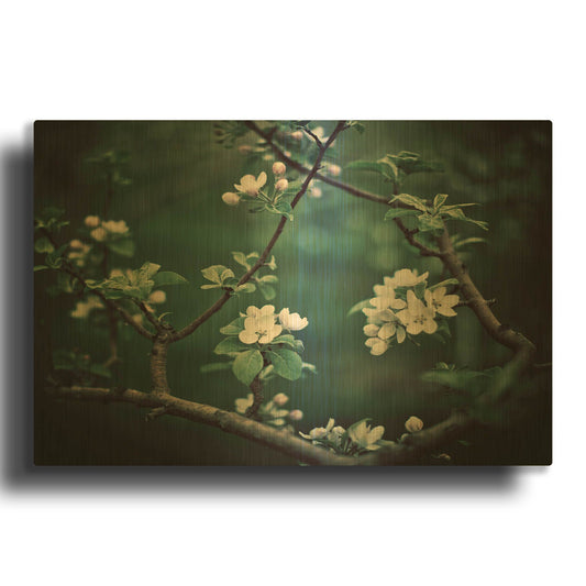 'S1126D - The Midnight Garden I' By Irene Suchocki Gold Metal Wall Art