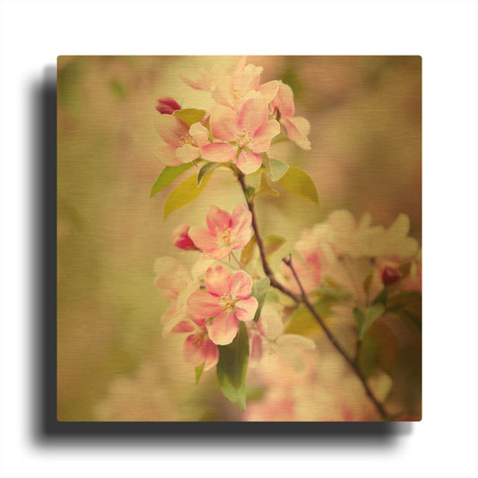 'S1129D - This Fleeting World' By Irene Suchocki Gold Metal Wall Art