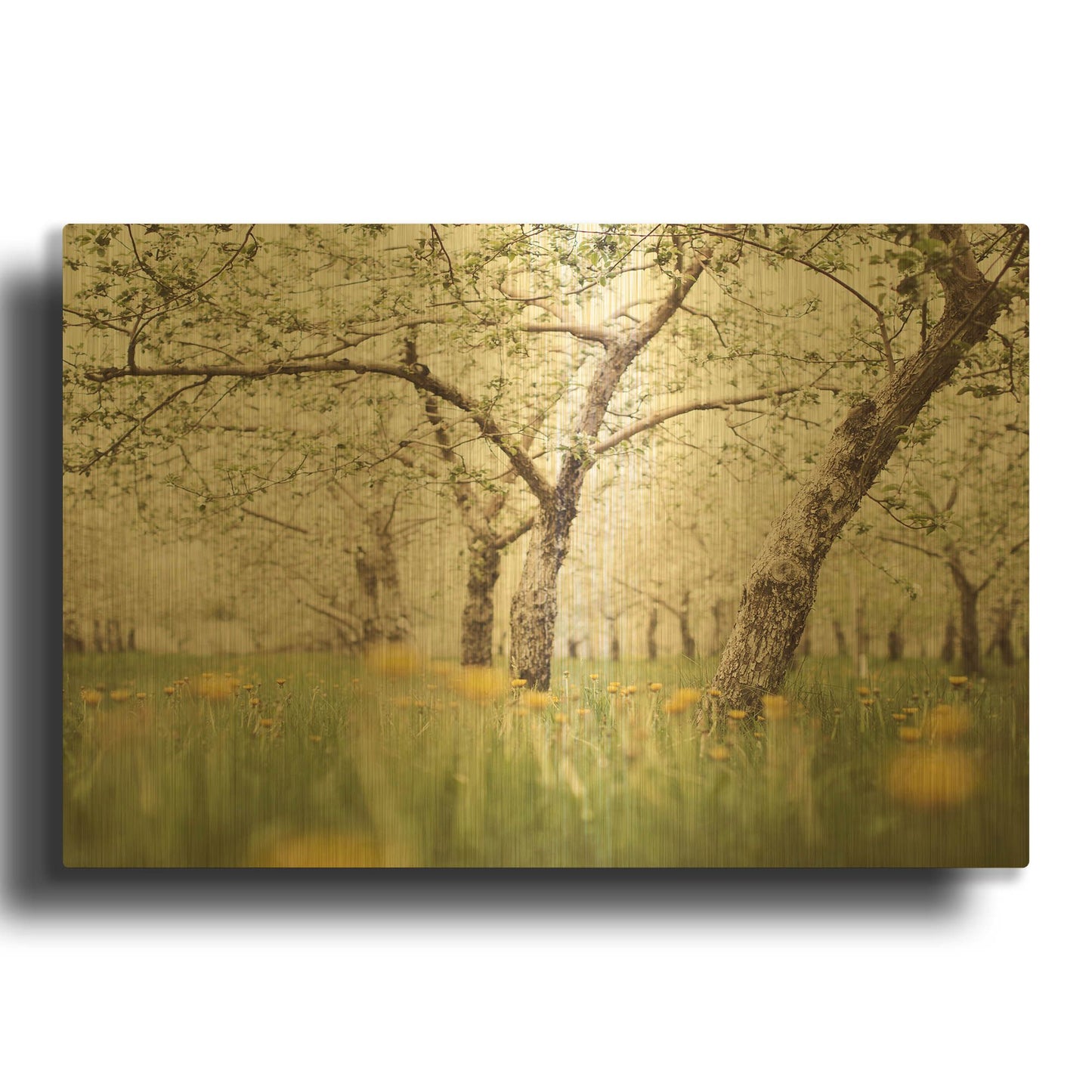 'S1280D - Quiet Orchard' By Irene Suchocki Gold Metal Wall Art