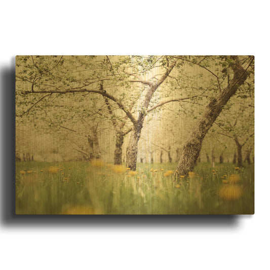 'S1280D - Quiet Orchard' By Irene Suchocki Gold Metal Wall Art