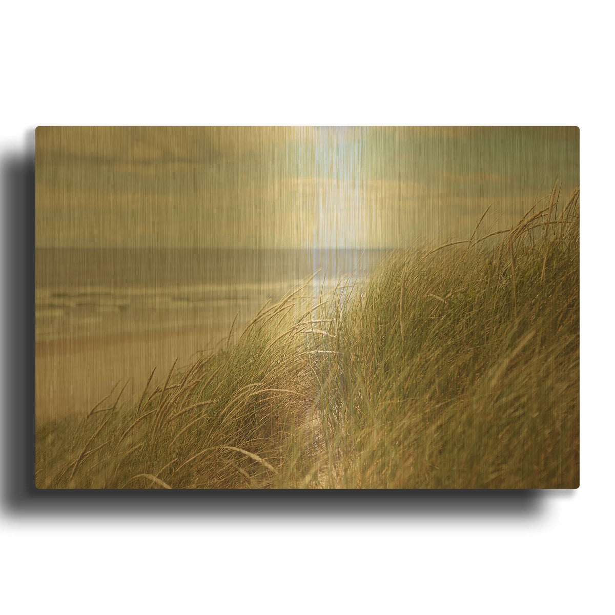 'S1282D - Beach Grass I' By Irene Suchocki Gold Metal Wall Art