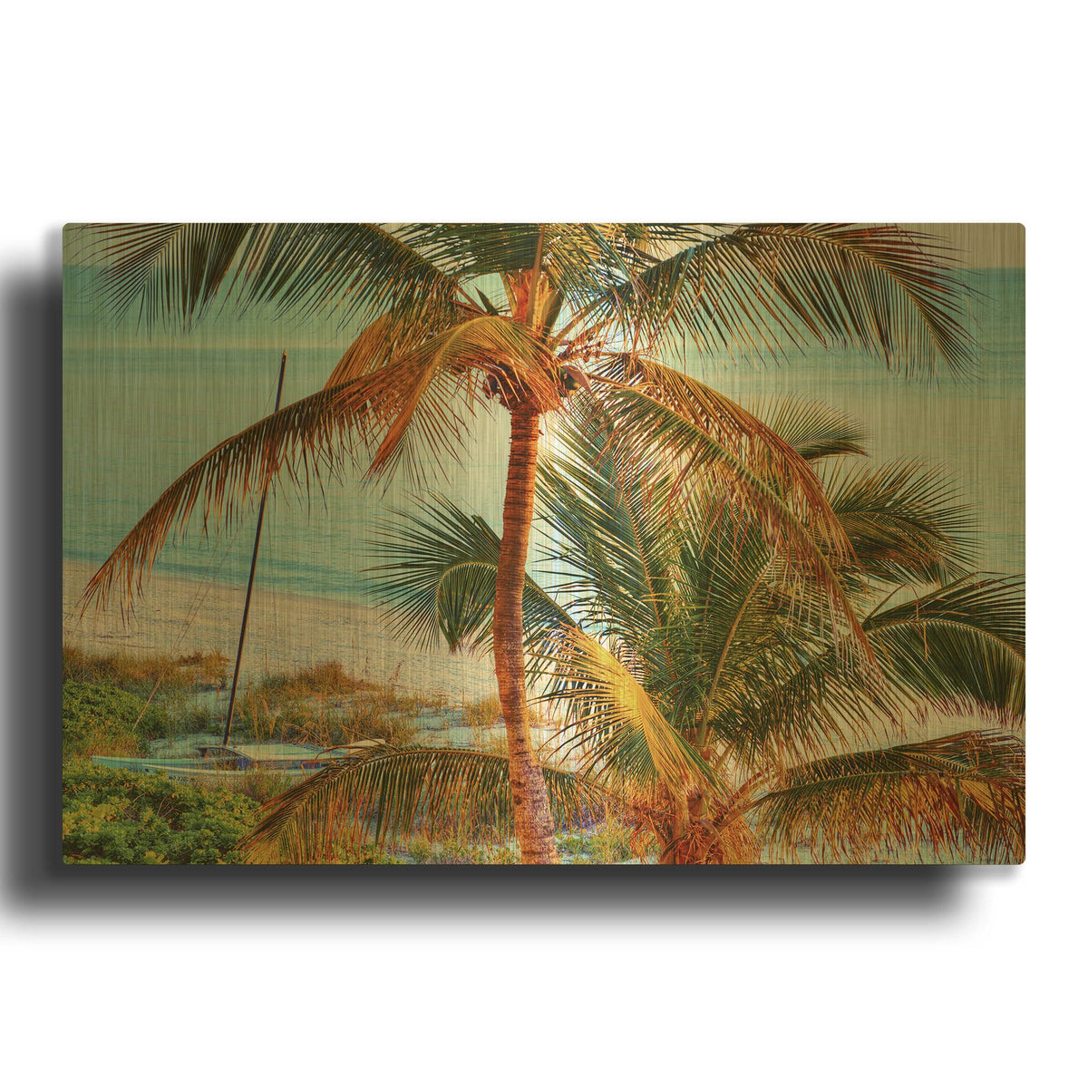 'Colors of Florida' By Jack Reed Gold Metal Wall Art