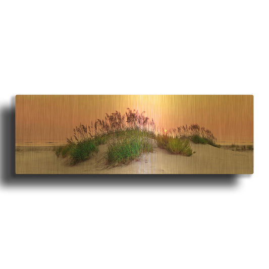 'Sea Oats Sun' By Jack Reed Gold Metal Wall Art