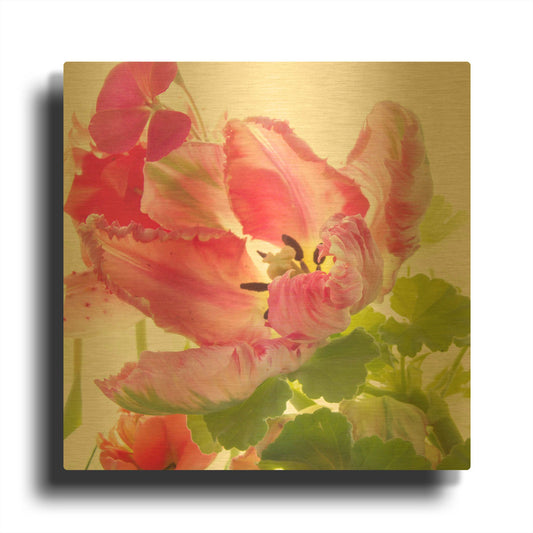 'Parrot Tulip One' By Judy Stalus Gold Metal Wall Art