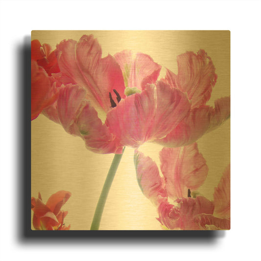 'Parrot Tulips' By Judy Stalus Gold Metal Wall Art