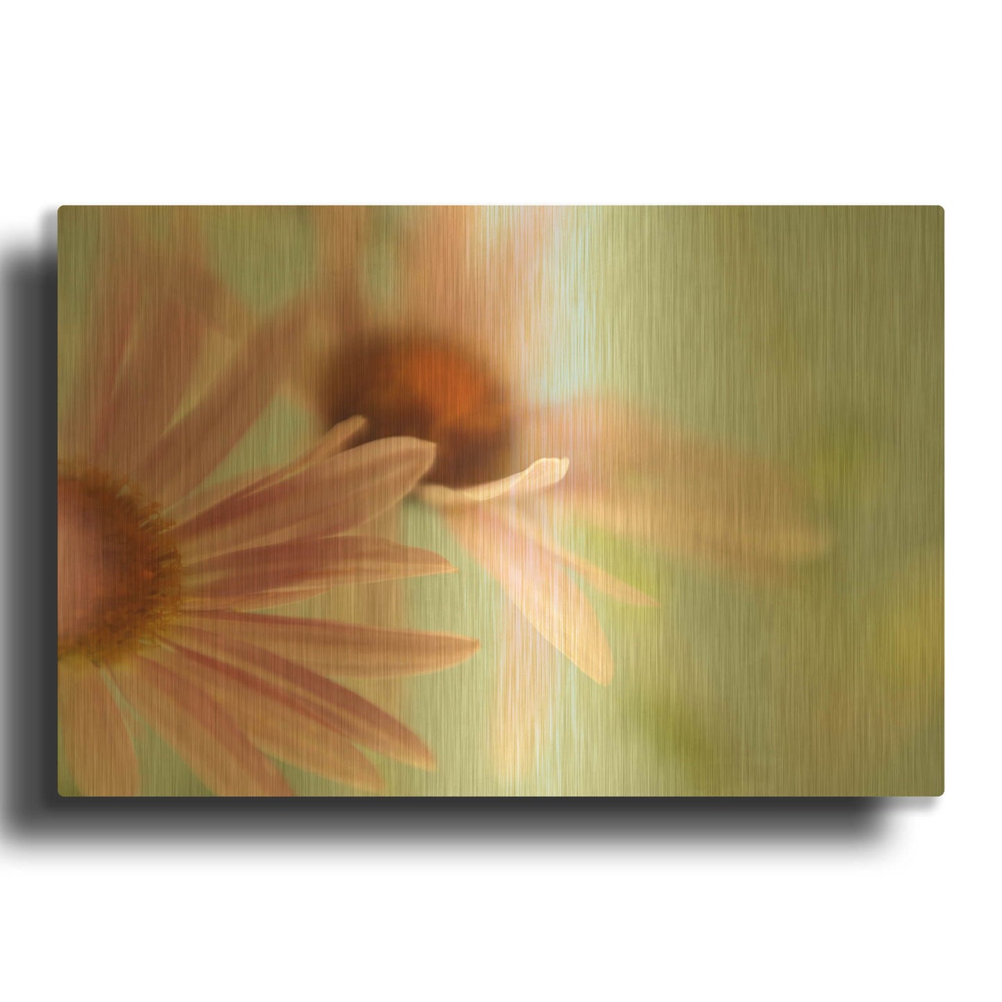 'Daisy Days' By Judy Stalus Gold Metal Wall Art