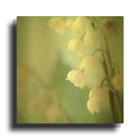 'Lily of the Valley' By Judy Stalus Gold Metal Wall Art