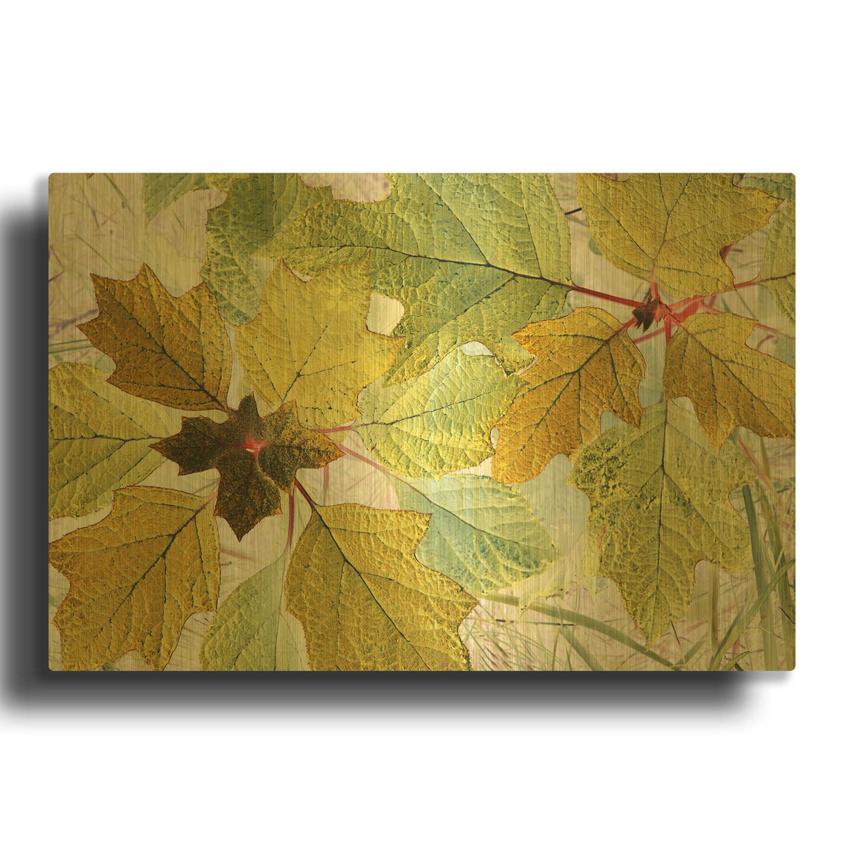 'Golden Oak' By Judy Stalus Gold Metal Wall Art