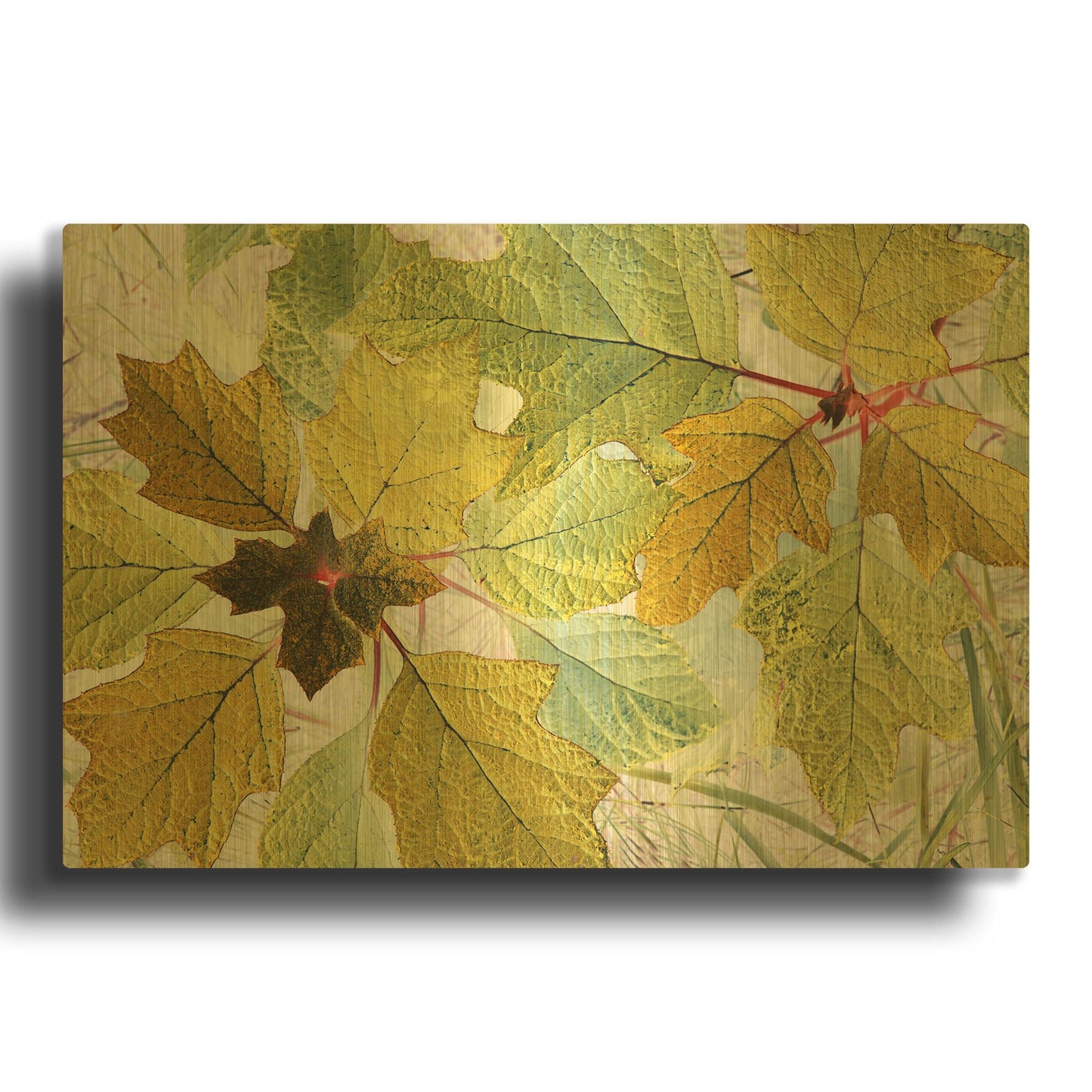 'Golden Oak' By Judy Stalus Gold Metal Wall Art
